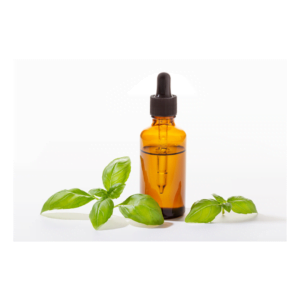 Basil oil