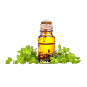 Marjoram oil