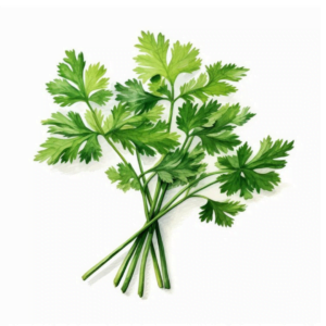 Parsley