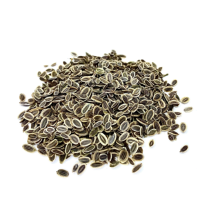 Dill Seeds