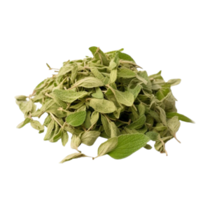 Marjoram