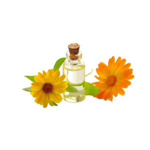 Chamomile oil